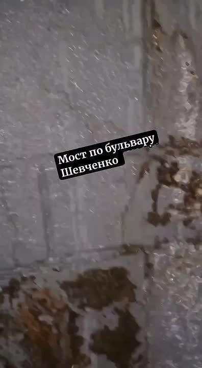 ���� �� �������� �������� ������� ����������