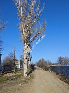 ������-�������� ���-��� �������� ��� � ������� ������� � ������������ ������ �������