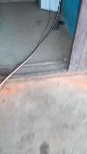 ����� ������ ������� ���� �� ����� ����� � ��������