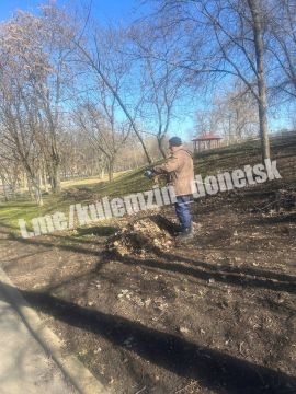 � ������������ ����� ��������� �������� ������ ���������� ������ �� ��������������� �������� �����������