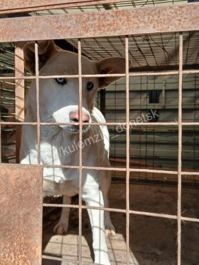 ���������� ����������� ��������� � ������ ���������� ���� ������