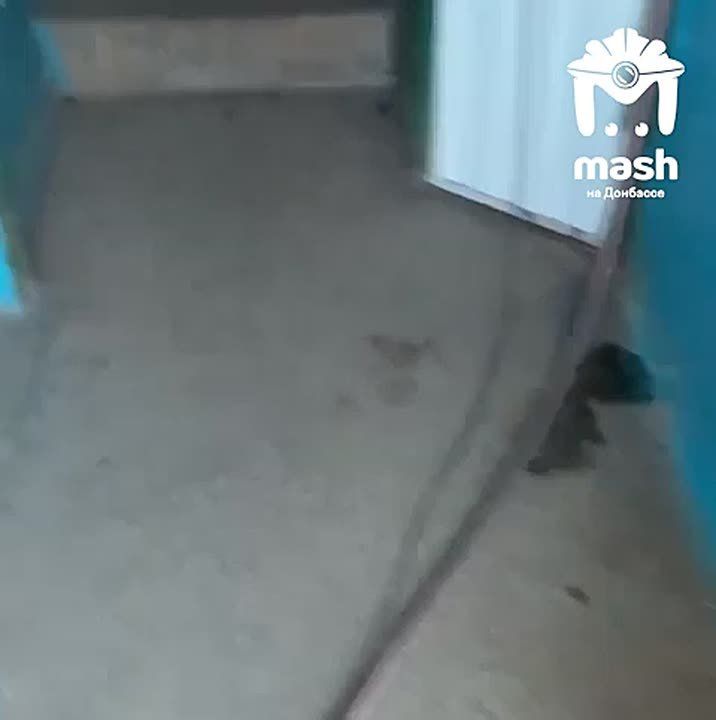 ������, �� ���������������
