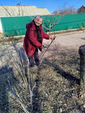 ���� ������: � ������ ����������� ���������� � ������������ ������ �������� ������� ������� ������ �������� ������ �������