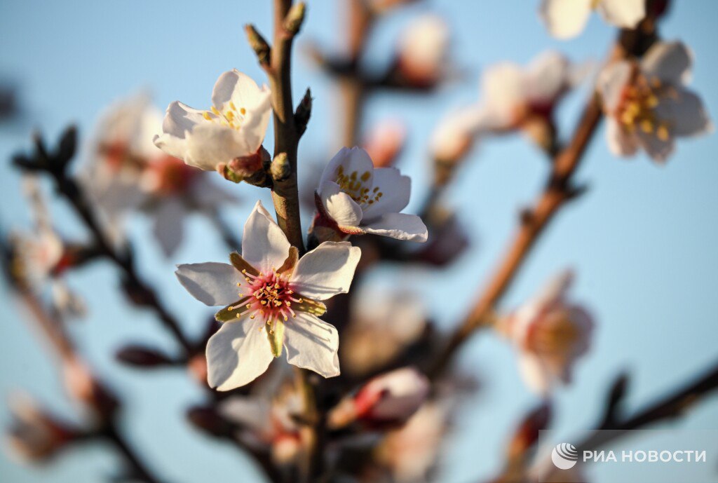 Погода на новых территориях России