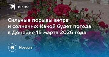 Сильные порывы ветра и солнечно: Какой будет погода в Донецке 15 марта 2026 года