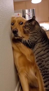 Когда узнал, что еще интереснее новости в MAX