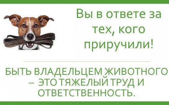 ���� ������: ������� ������ � ������ ��� ����������� � ����� ������������� ��������� � �������� ������ ��������, �������� �������� � ���������� ����