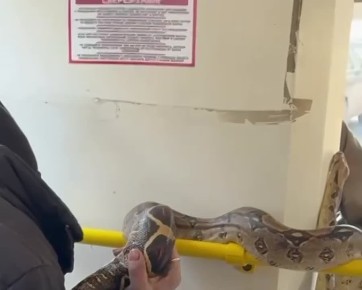 17-� ��������� � ������� ��������� �������������� �������