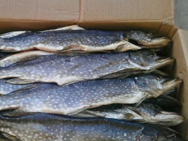 �� ����������� ����������� ���������� ���� �����ѻ ���������, ����������� ����������������� �� �������� �������� ���������� � ��������� �������� ���������� ������������� ��������� ���������� � ������ �������� ������...