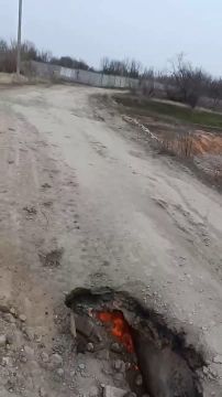 ������ � �� ����� �������� � ���������� ������ �������