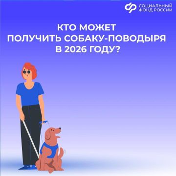 Кто может получить собаку-поводыря