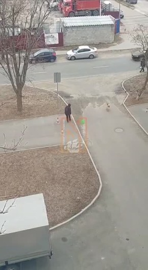 ���� ��� ������� ������, �� ������ ����� ������ � ��� �� ����������: ��� ��� �������?