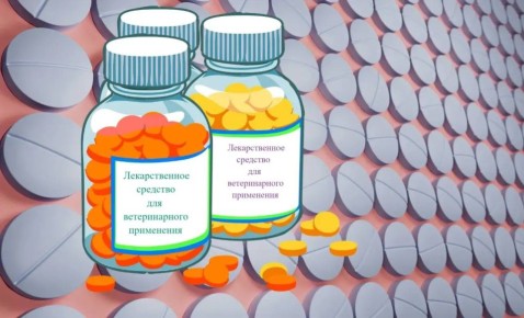 ���������� ����������� ������ �� ������������� � ��������������� ������� �� �������� �������� ���������� � ��������� �������� ���������� ��������, ��� � ����� � �������������� �������� �������������� ��������� ���...