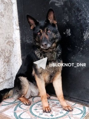 ������� �������� ������� � ������ ��� � �������