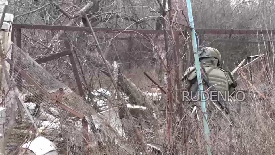 ������ �������: �������������� 12-� ��������� ����������� ���������� ������� ����������� ����� ������ ��������� ������ �� �������������� �������� ����� � ��������� ������� ��������� ���������� ������ ��������� ��������...
