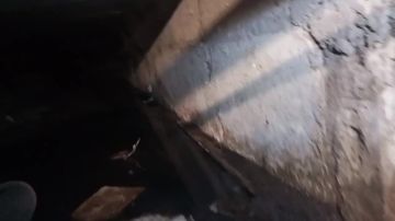 ��� ���� ������ ����������� � ��������� ����� ���������, � ��� �������� �� ��� �����