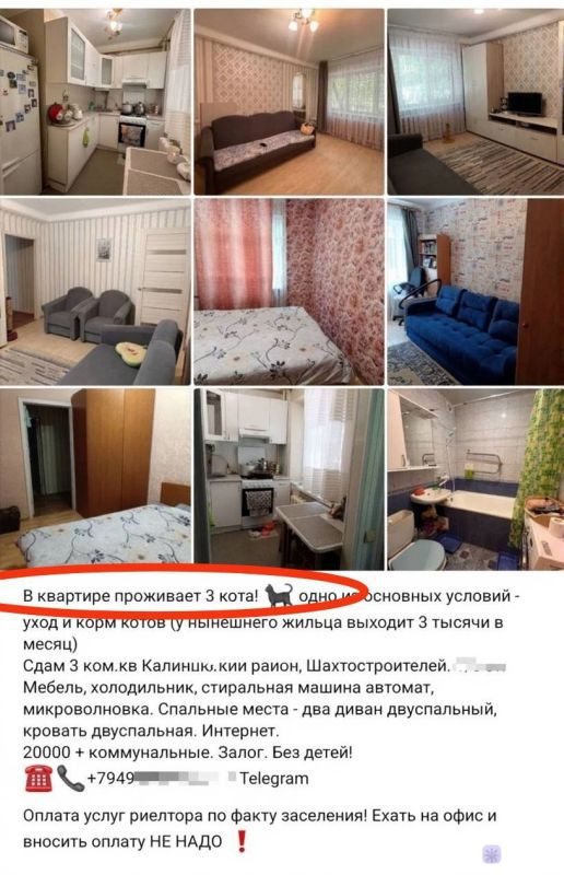 � ����������� ������ ������� ����� ��������, ��� ��������� 3 ����