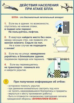 ���� ������: ����������� ����������� �������� (����) ����� ������������ ������������� ������ ������������