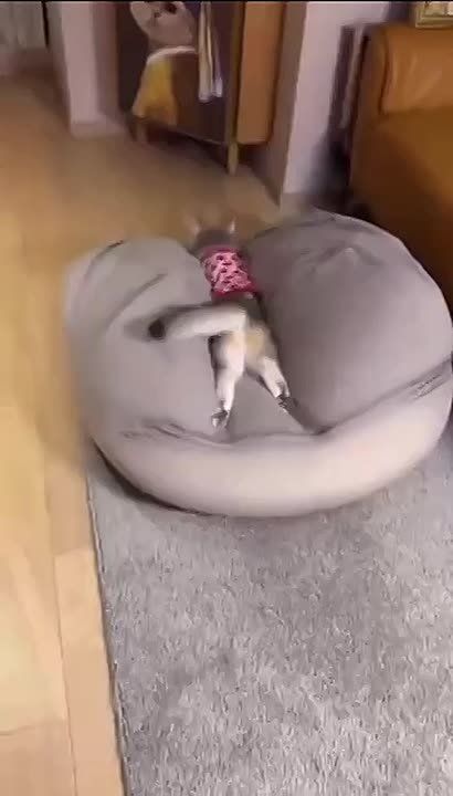 � ����������� ������� ���� �������: