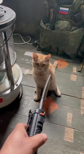 Мирного дня, Донецк!. Связист Прогноз погоды на 22.03.2026 Донецкая Народная Республика: