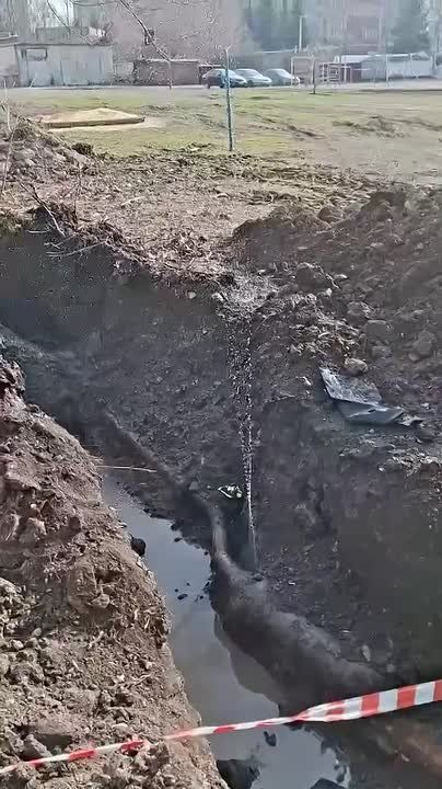 ������ �� ���� ����������� �� ������ � ��������