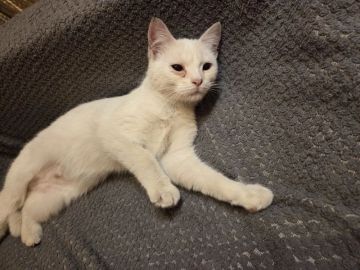 ��� �����: �������� ����� ������� 6-7, ������� ����� �������� �������� �� ������, ��������, ������������