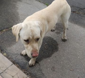 ��� ���������?. �������. �� ��� ���� 3-4