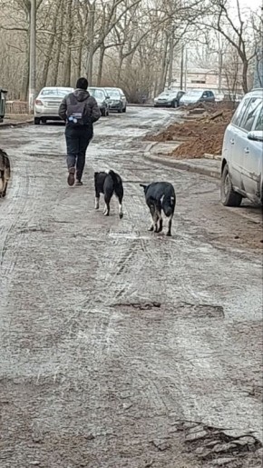 ��������, ��� ������� ����� ���� 191 �� ��. ����������� � ������� ���� ����� �������� �������