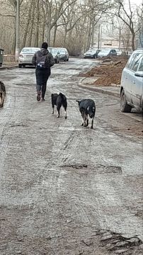 ��������, ��� ������� ����� ���� 191 �� ��. ����������� � ������� ���� ����� �������� �������