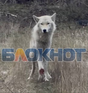 � ������ �������� ����� � ���������