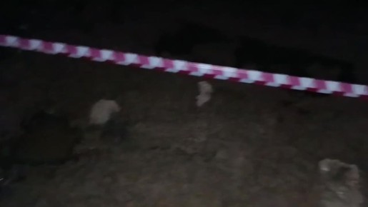 �� ��. 50-����� ���� �������� ���� ��������