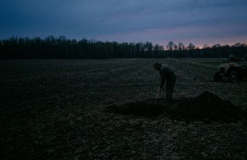 � ��� ����������� �������� ��������, ����������� 12 ��� �����