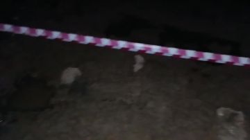 �� ��. 50-����� ���� �������� ���� ��������