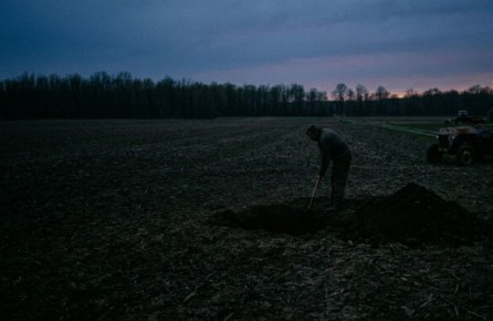 � ��� ����������� �������� ��������, ����������� 12 ��� �����