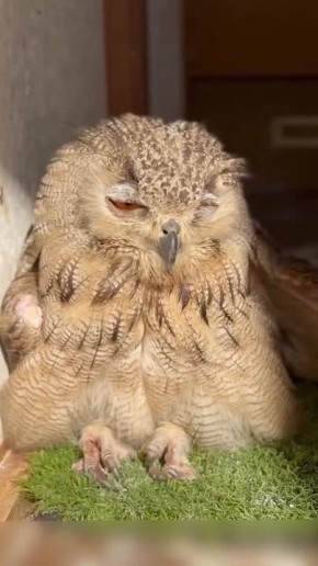 Погода в эту пятницу так и подбивает заснуть