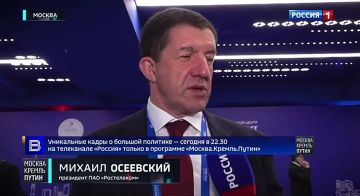 WhatsApp* ����, Telegram ���� � ��������� ���, MAX �����, ������� ��� ������ � ����� �����������