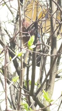 ���� � ������� ��������� �����, ��� ���� ����� ����������: ������� ����!�