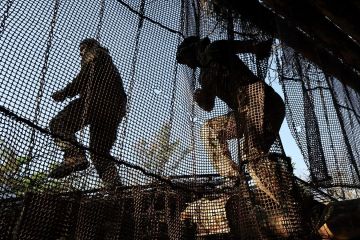 На въезде в Чернигов заметили два микроавтобуса с надписью "груз 200"