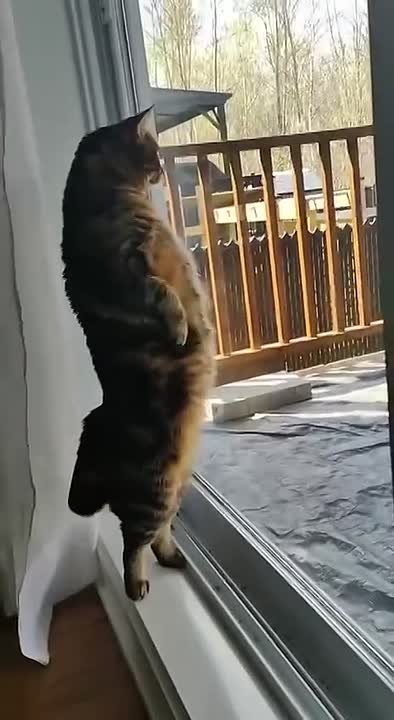 Это мы смотрим на улицу и на прогноз, и на понимаем, что надеть: