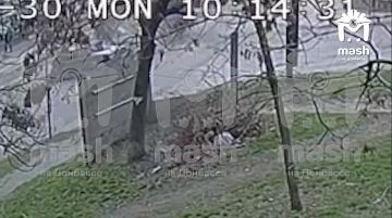 ������ ������ ������ �� ����������� � ������� ����� �� ������