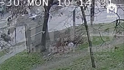 ������ ������ ������ �� ����������� � ������� ����� �� ������