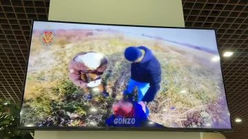 WarGonzo: �������� ������� ���������� � ������ ��� ���������� � �������