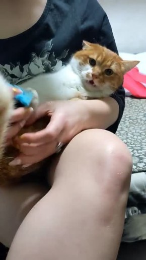 ��� ��� ��������� �������: