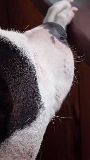 Сергей Лебедев: #Славянск, удар по железнодорожному узлу и военной логистике