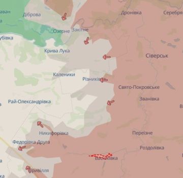 Армия РФ взяла под контроль Свято-Покровское и Васюковку в Донецкой области, признает украинский OSINT-паблик DeepState