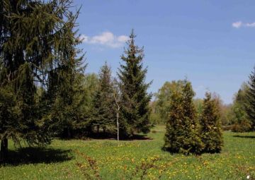 С 1 апреля 2026 года на территории лесного фонда Донецкой Народной Республики установлено начало пожароопасного сезона, сообщил министр природных ресурсов и экологии Алексей Шебалков