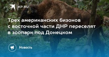 ���� ������������ ������� � ��������� ����� ��� ��������� � ������� ��� ��������