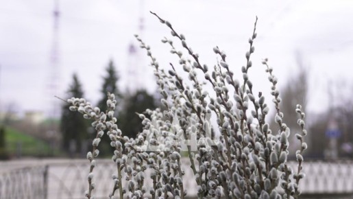 � ���������� �������� ����������� �������� �� ������ �������