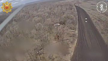 Николаевка. Донецкая Народная Республика