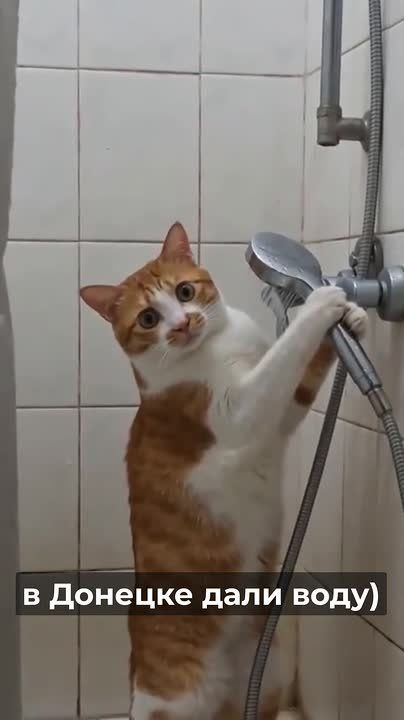 ����� ���� ���� ����� �� �������